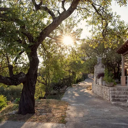 La Scuola Di Anna * Babino Polje