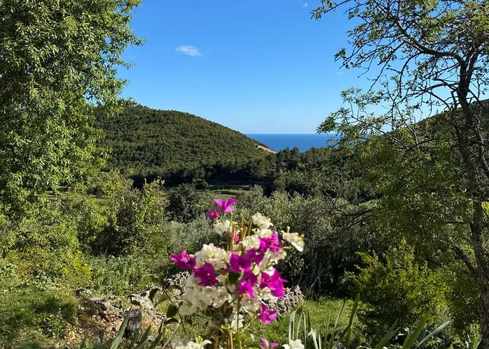 Casa vacanze La Scuola Di Anna *